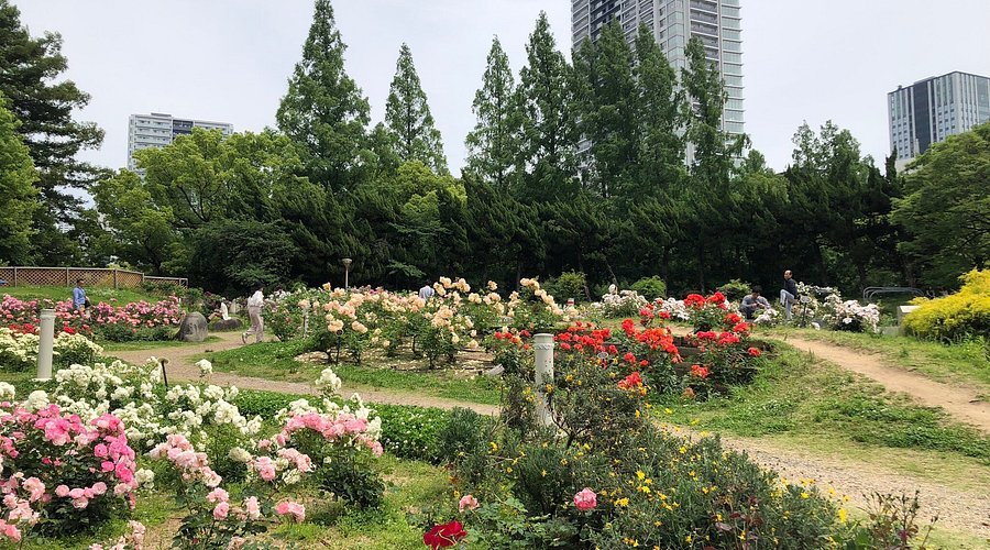 🌳 우쓰보 공원 이미지 9